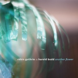 Cover of Another Flower by Harold Budd