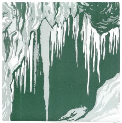 Cover of Creatures in the Cave / Wyld Parrots by Wounded Lion