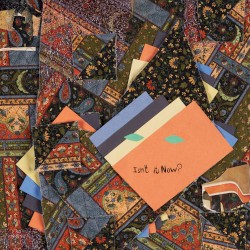 Cover of Isn't It Now? by Animal Collective