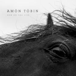 Cover of How Do You Live by Amon Tobin