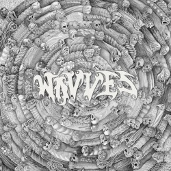 Cover of Spun by Wavves