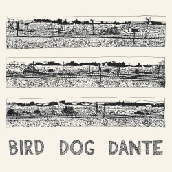 Cover of Bird Dog Dante by John Parish