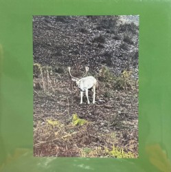 Cover of Seven Off the Two by Mac DeMarco