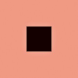 Cover of SABLE, fABLE by Bon Iver