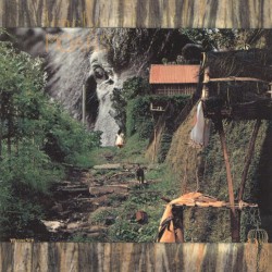 Cover of Lonely Moans by Lonely Moans