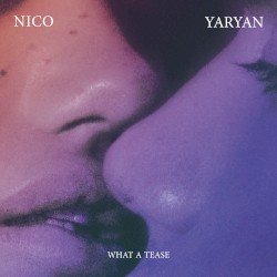 Cover of What a Tease by Nico Yaryan