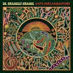 Cover of Anti-Inflammatory by Dr. Strangely Strange