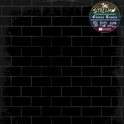 Cover of The Dark Side of the Wall by The Stallion
