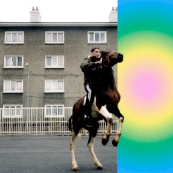 Cover of Soft Spot by Honningbarna