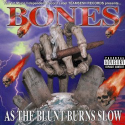 Cover of AsTheBluntBurnsSlow by Bones