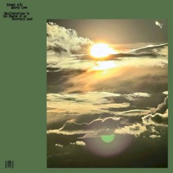 Cover of Manifestations in the Shadow of an Uncertain Land by Robert Aiki Aubrey Lowe