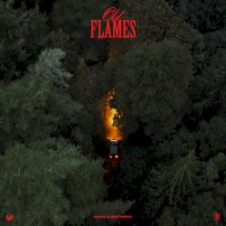 Cover of Old Flames by La Roux