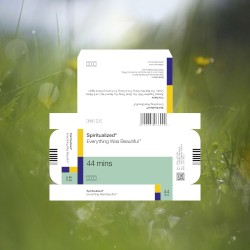 Cover of Everything Was Beautiful by Spiritualized