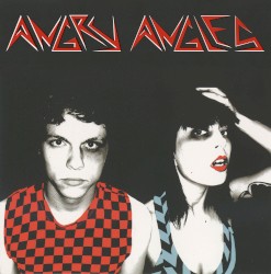 Cover of Angry Angles by angry angles