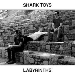 Cover of Labyrinths by Shark Toys
