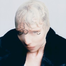Cover of The Afterparty by Lykke Li