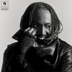 Cover of Distracted by Thundercat
